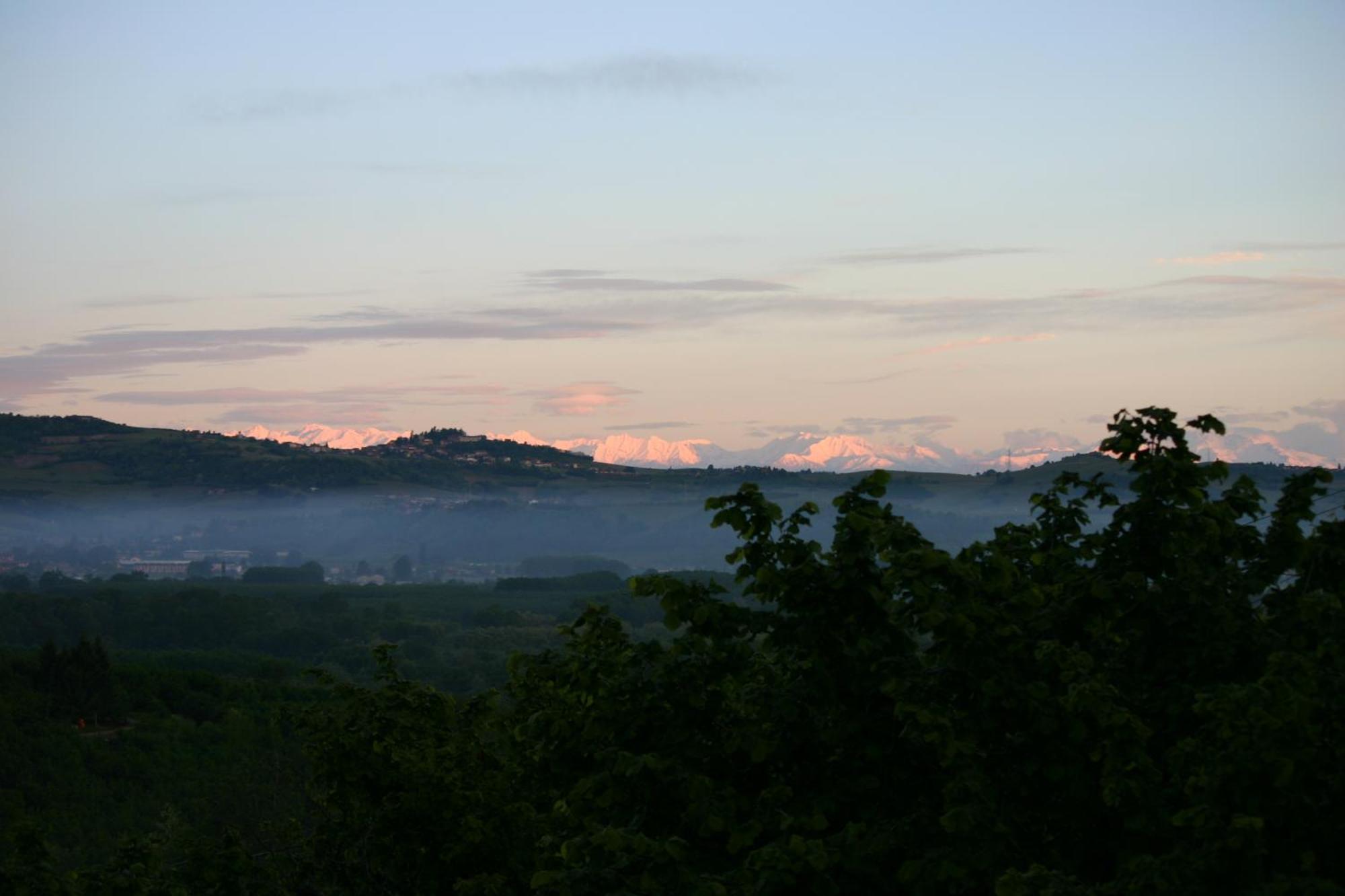Cascina La Corte Neive Dış mekan fotoğraf