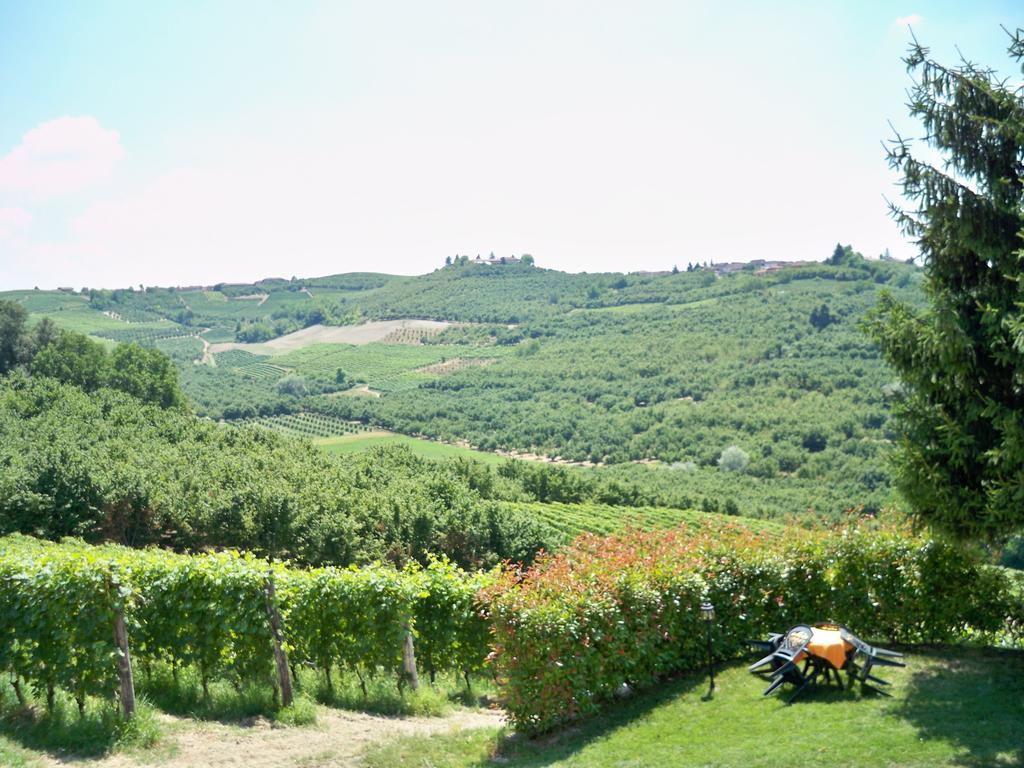 Cascina La Corte Neive Dış mekan fotoğraf