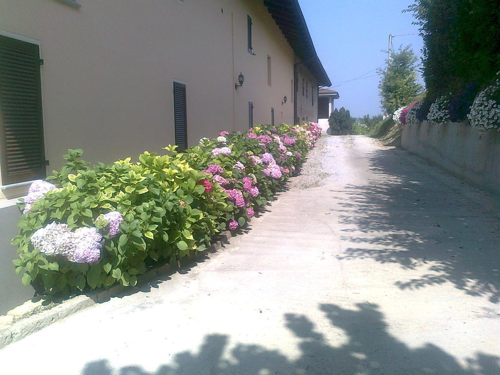 Cascina La Corte Neive Dış mekan fotoğraf