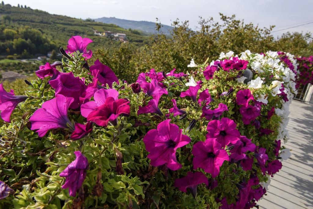 Cascina La Corte Neive Dış mekan fotoğraf