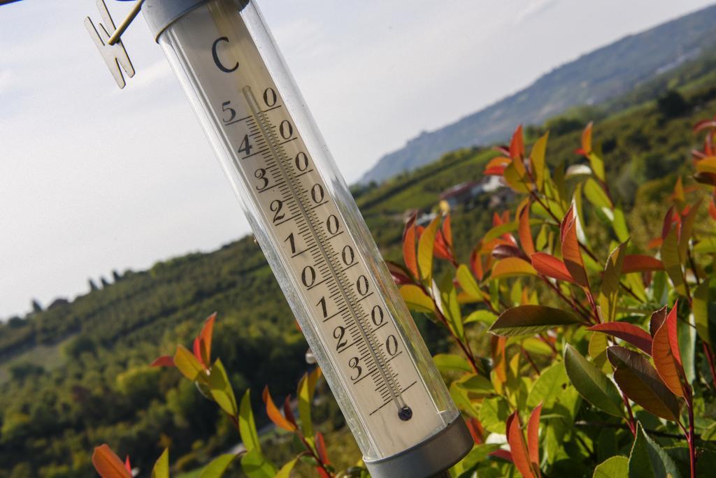 Cascina La Corte Neive Dış mekan fotoğraf