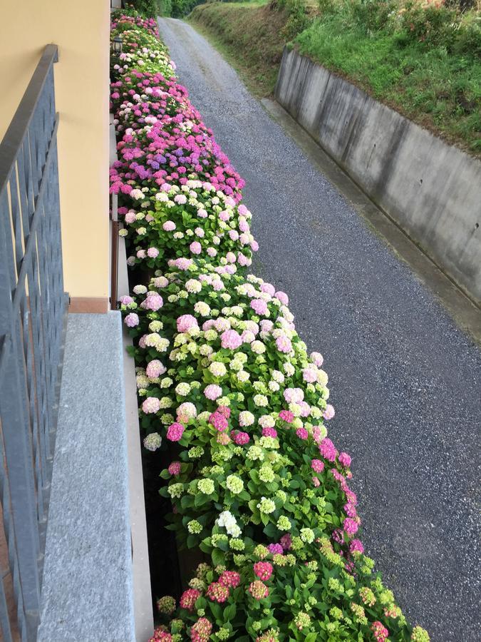 Cascina La Corte Neive Dış mekan fotoğraf